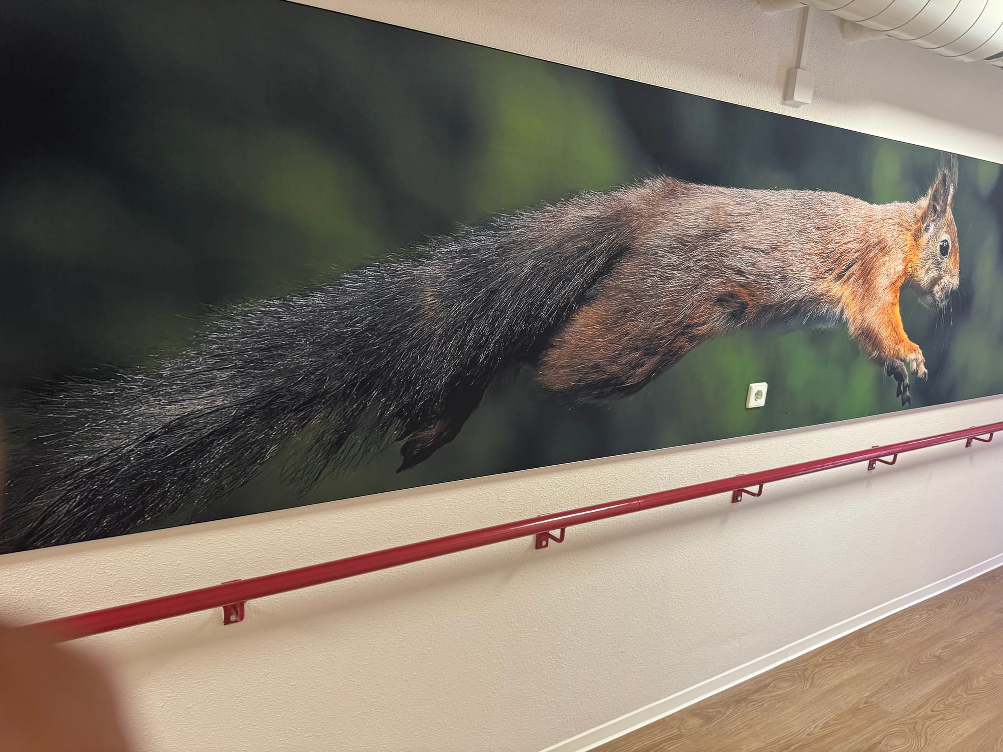 30 September 2025, Squirrels