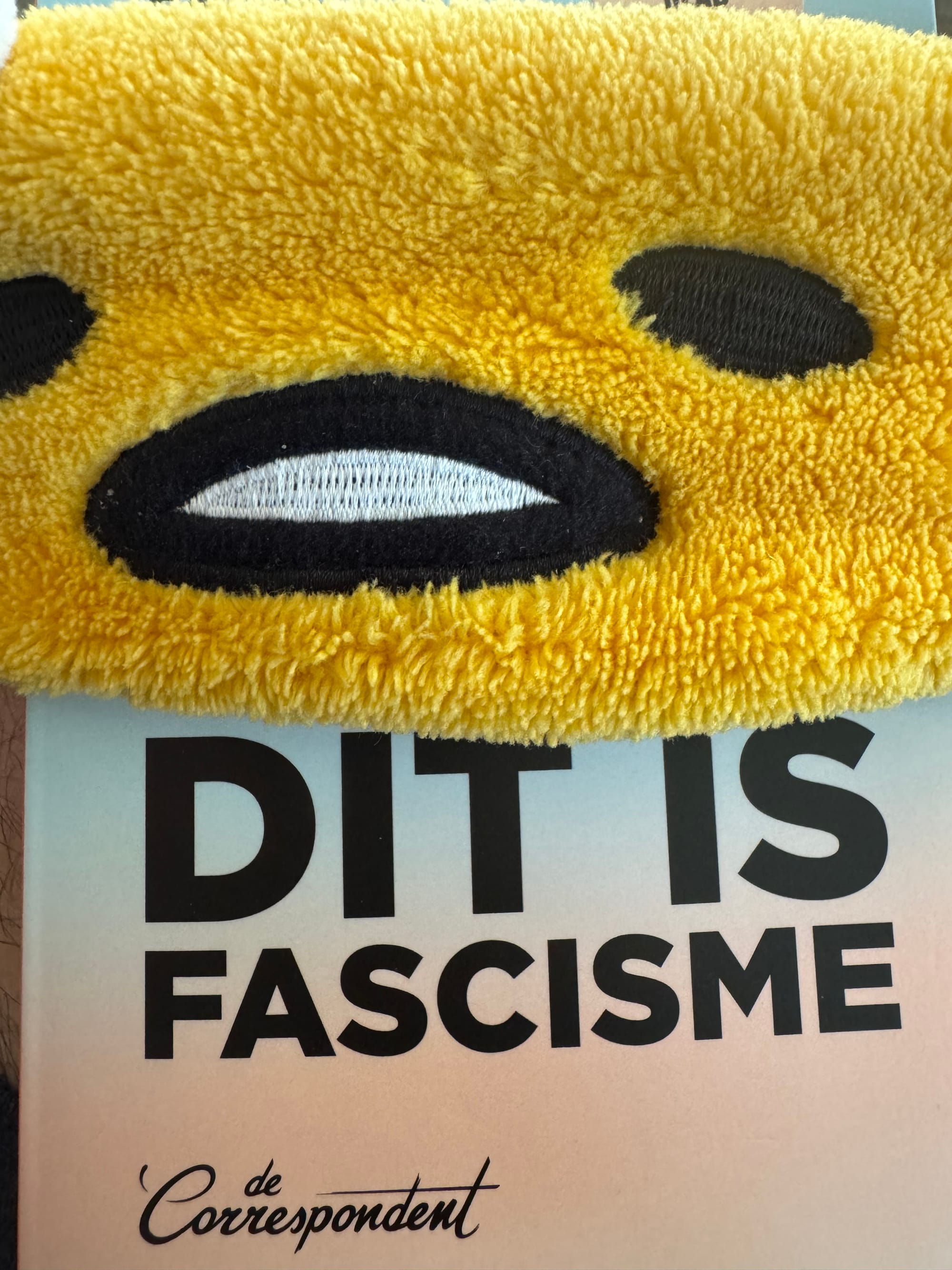 This is fascism - Rosan Smits