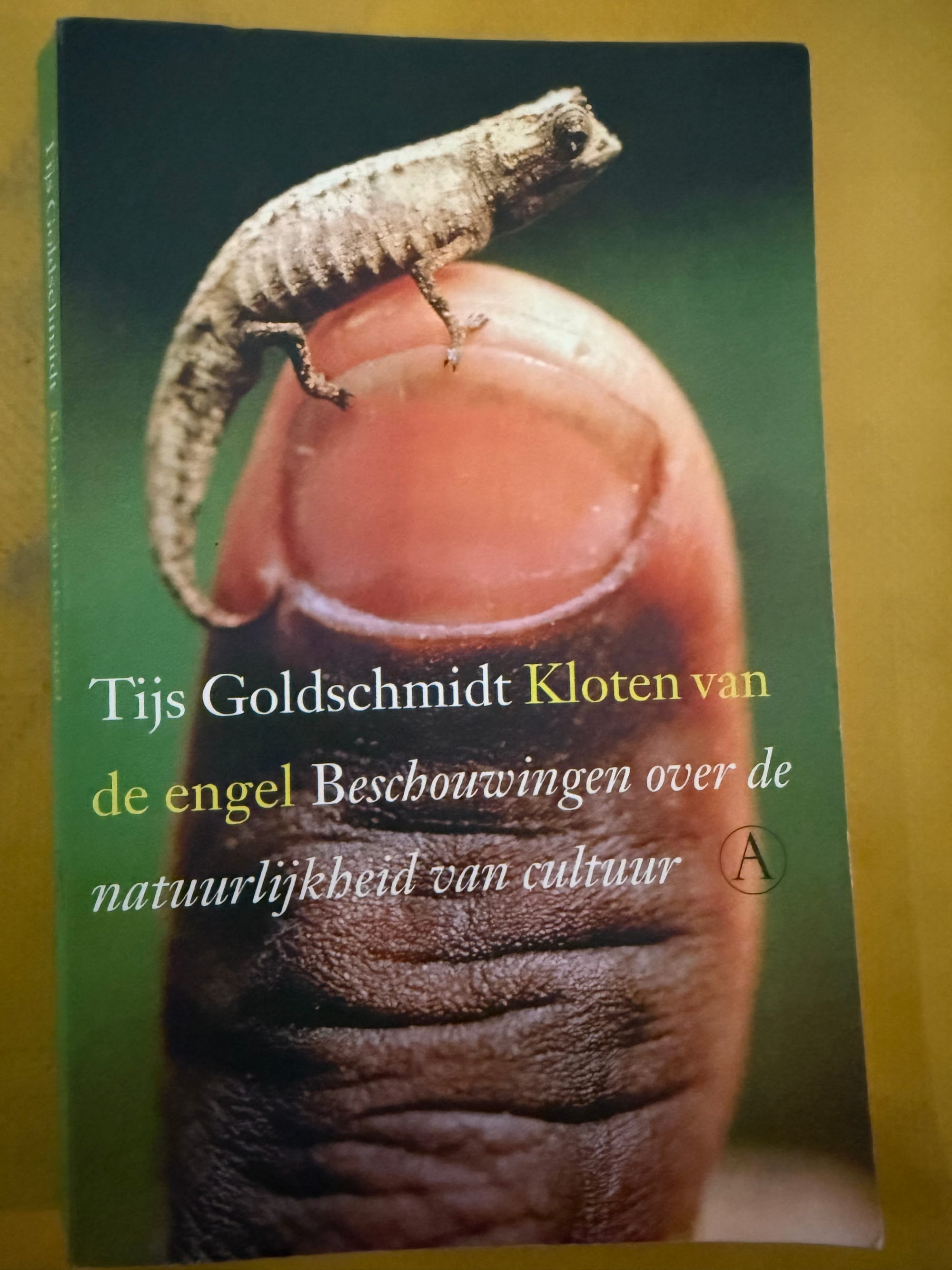 Nuts of an angel - Tijs Goldschmidt