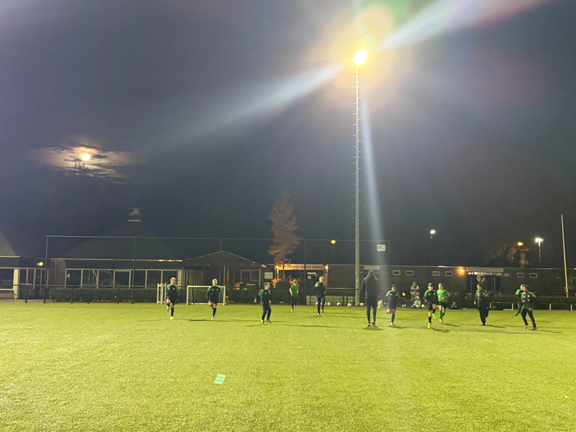 Marvellous night for a moon dance